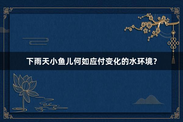 下雨天小鱼儿何如应付变化的水环境？